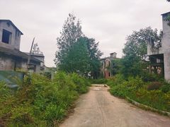 -南山植物园