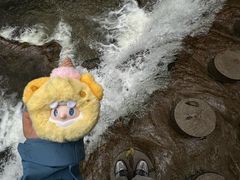 -牛背梁国家森林公园