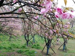 -石峰公园