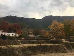 -塔川景区