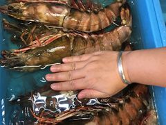 -ZF Seafood Restaurant 卓峰海鲜餐