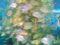 -瑞德姆美人鱼海底演艺主题餐厅(亚龙湾店)