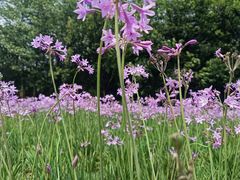 -中国天府农业博览园