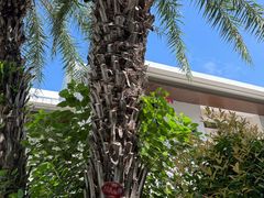 -天悦阁海景酒廊