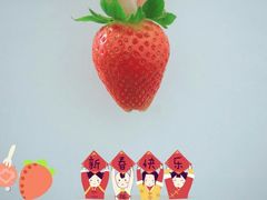-喜茶(上海打浦桥日月光gelato lab+店)