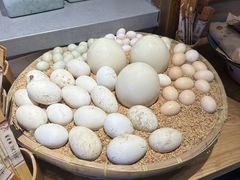 -鸽子窝(青塔店)