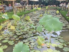 -三圣花乡旅游区