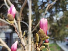 -首都医科大学附属北京友谊医院(西城院区)