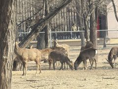 -秦皇岛野生动物园