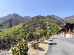 -东天目山风景区