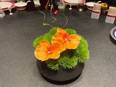 -阿五黄河大鲤鱼(建业路店)