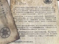 -暴风岛沉浸式体验馆(百联世纪店)