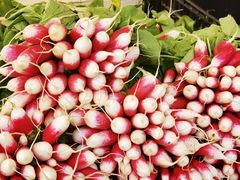 -乐蓬马歇百货公司(Rive Gauche)