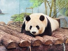 -杭州动物园