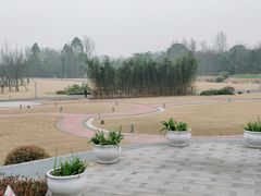 -桤木河湿地公园