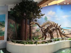 -延庆地质公园博物馆