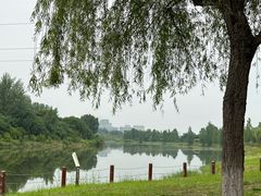 -诗经里