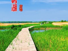 -野鸭湖国家湿地公园