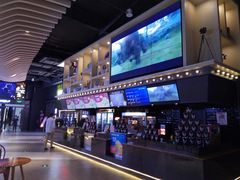 -新影联·华谊兄弟影院(望京店)