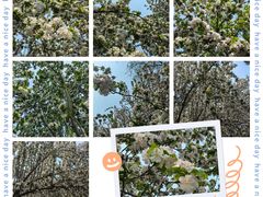 -海棠花溪(元大都城垣遗址公园)