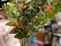 -Gee Coffee Roasters (万象城店)