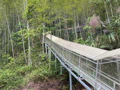 -千泷沟大瀑布旅游区