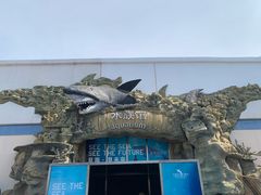 -秦皇岛乐岛海洋王国