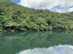 -鼎湖山风景区