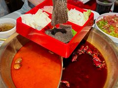-小龙坎火锅(总店)