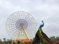 -七彩云南欢乐世界