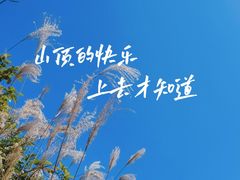 -梅沙尖