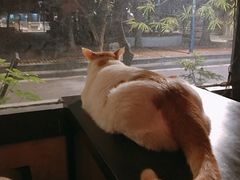 -江湖边·小生活