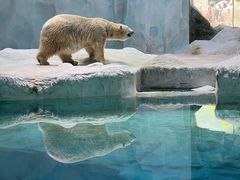 -珠海长隆海洋王国