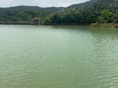 -广州白江湖森林公园