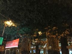 -云顶高原