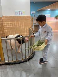 -Moni星球萌宠·小马宝莉·灵蛇·高端高阶全萌宠互动体验俱乐部(红豆国际广场店)