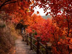 -九如山休闲旅游度假区