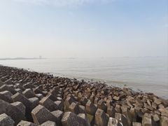 -上海滨江森林公园