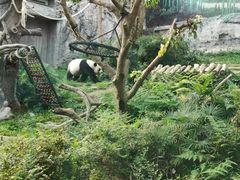-石排湾郊野公园