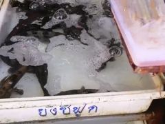 -拉威海鲜市场