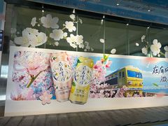 -丽江三义国际机场