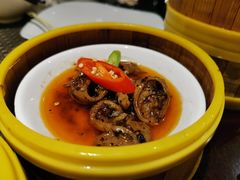 黑胡椒蒸肥肠-博悦茶餐厅(文殊院店)