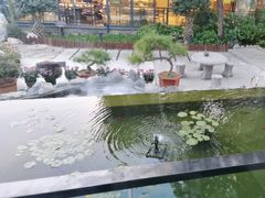 -蘇河湾·新鲁菜·泰山宴(泰山店)