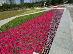 -二沙岛艺术公园