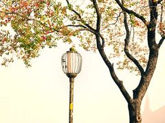 -老门东历史文化街区