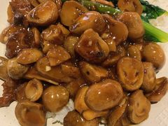 鲜菇牛肉饭-嘉旺(上梅林店)