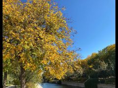 -元大都城垣遗址公园