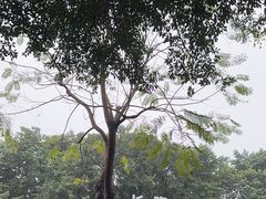 -广州长隆飞鸟乐园