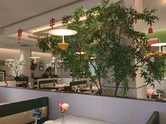 -Aqua Oasis 水天堂(太湖中心mall店)