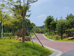 -王借岗森林公园